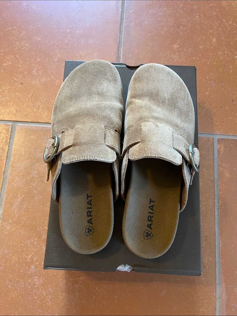 Ariat Women's Taupe Suede Slip-On Mules with Round Buckles
